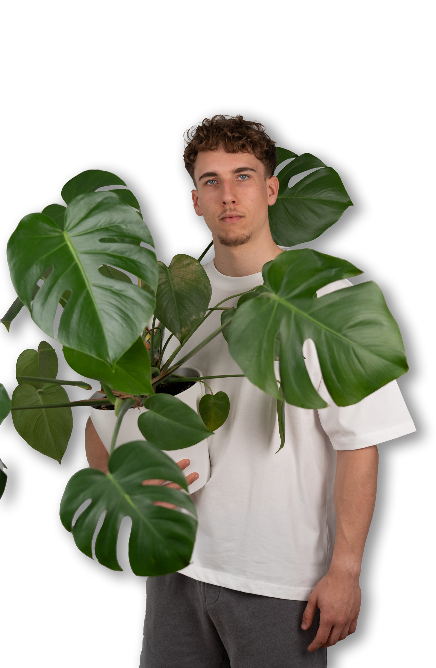 PAVALO® Signature Shirt Weiß/Schwarz