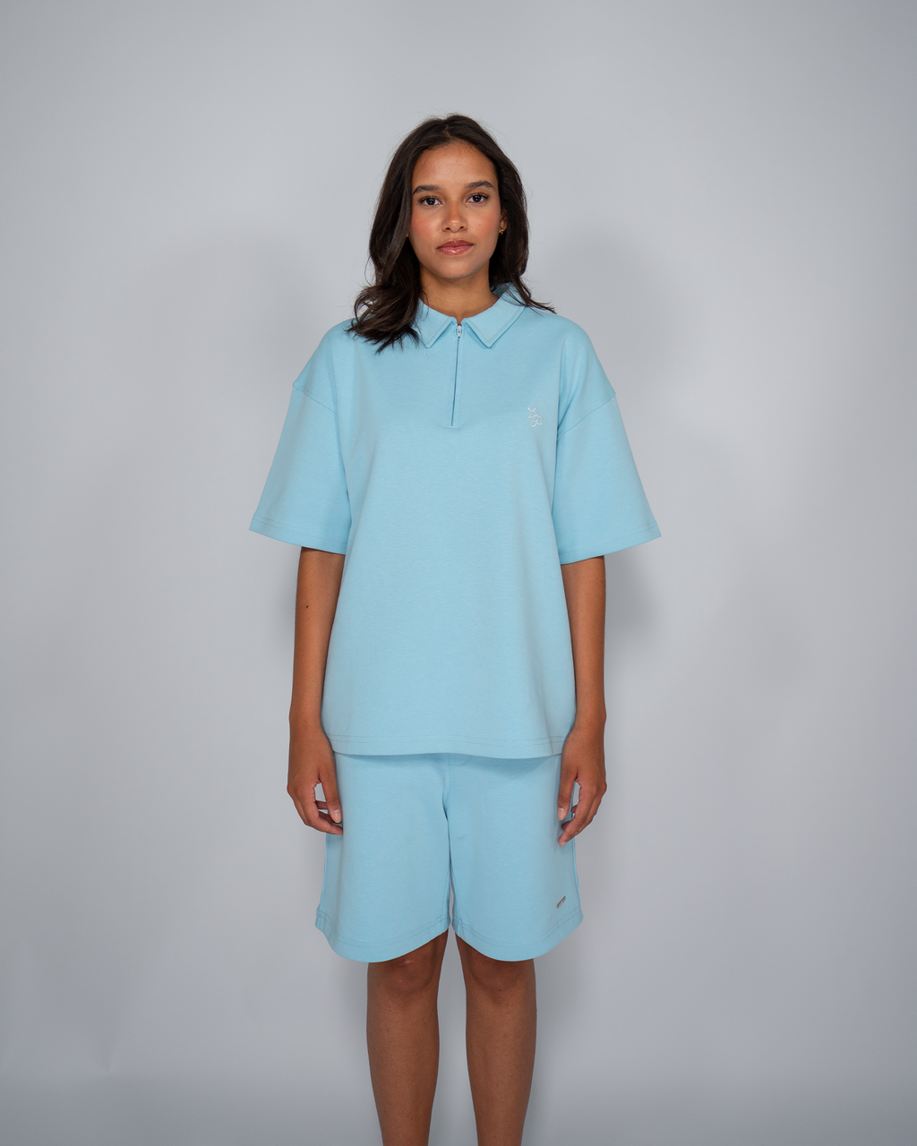 Premium Quarterzip Shirt Ice Blue
