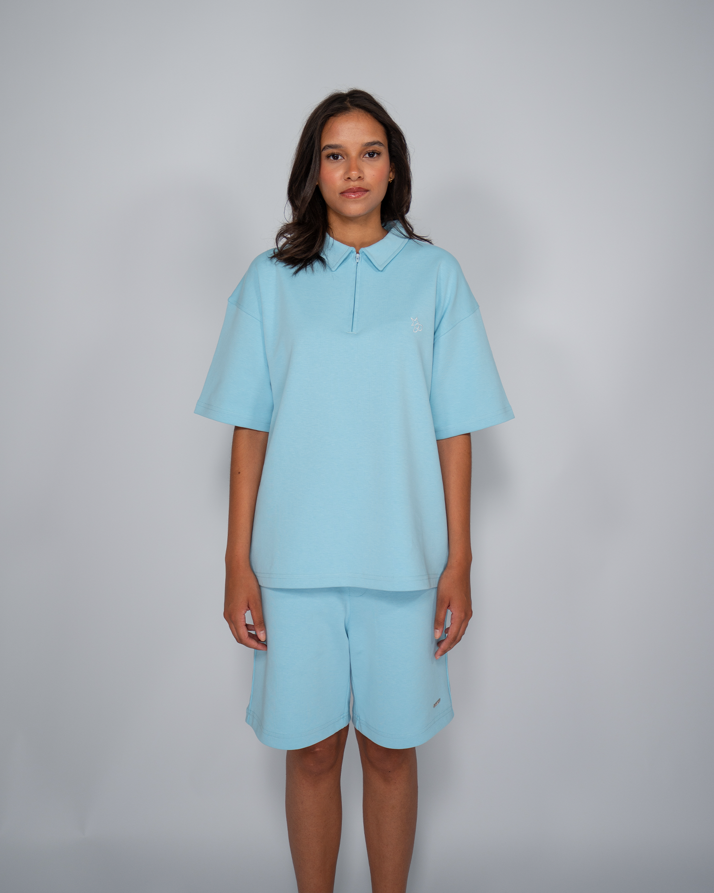 Premium Quarterzip Shirt Ice Blue