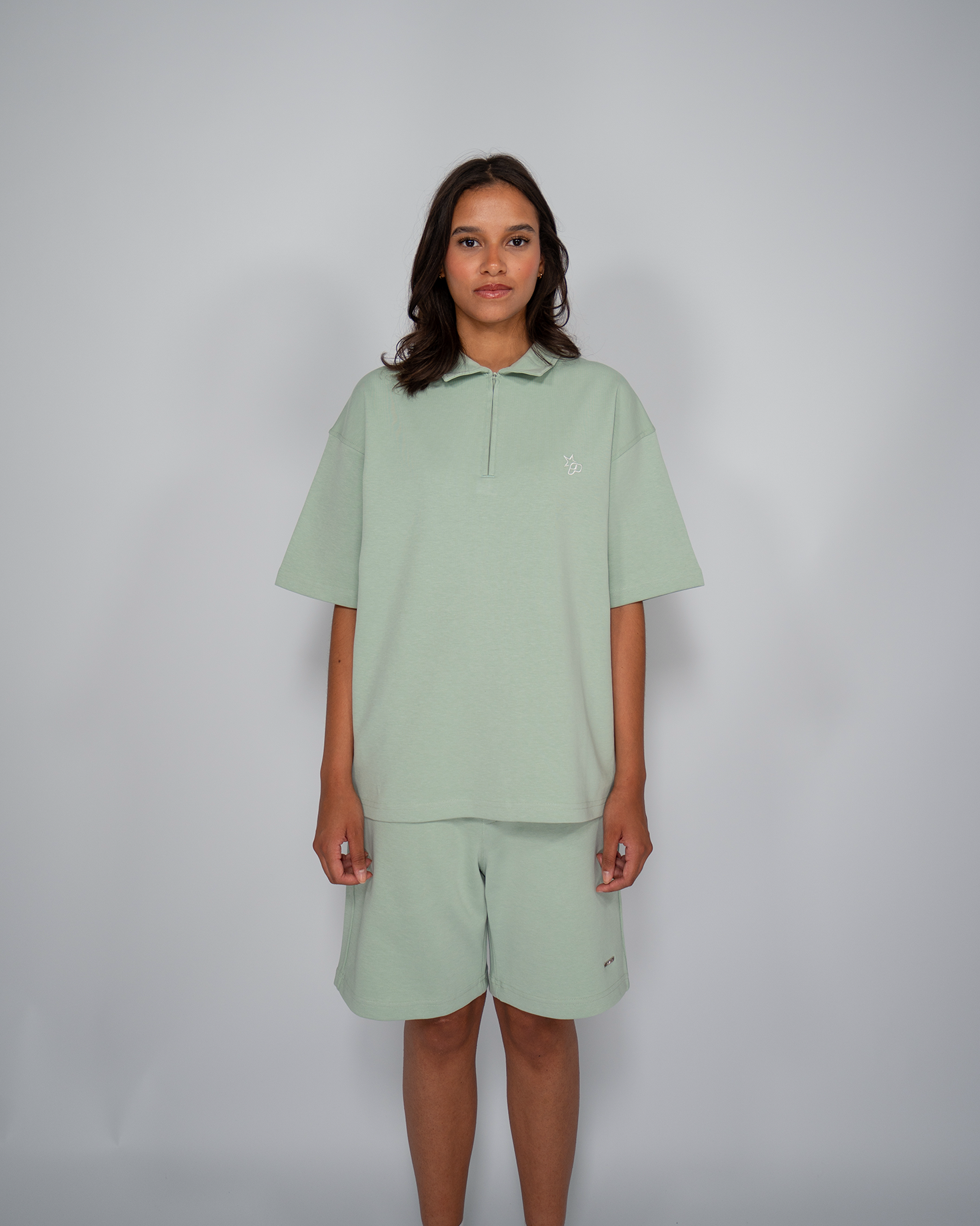 Premium Quarterzip Shirt Soft Green
